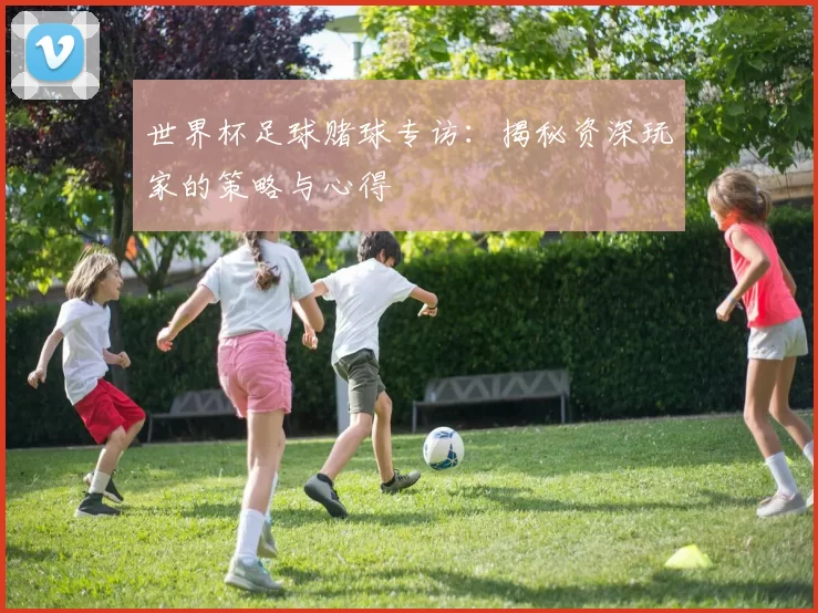 世界杯足球赌球专访:揭秘资深玩家的策略与心得