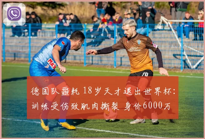 德国队噩耗 18岁天才退出世界杯：训练受伤致肌肉撕裂 身价6000万