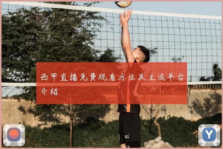 西甲直播免费观看方法及主流平台介绍