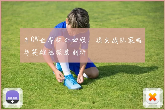 年OW世界杯全回顾：顶尖战队策略与英雄池深度剖析