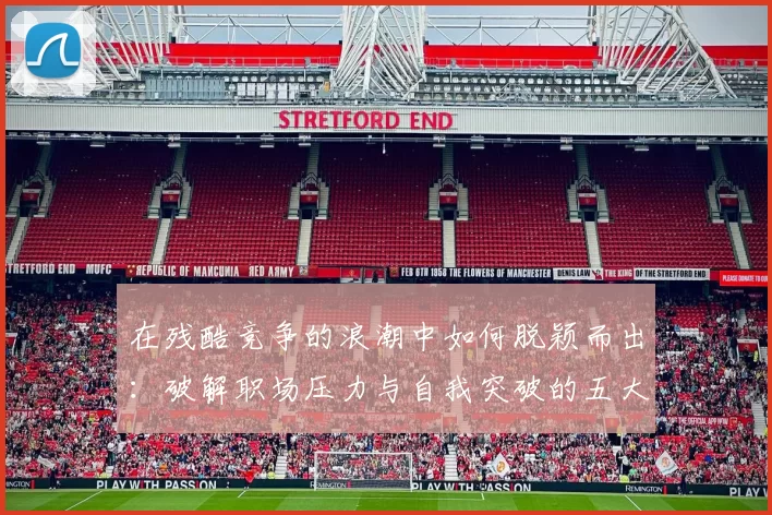 在残酷竞争的浪潮中如何脱颖而出：破解职场压力与自我突破的五大策略