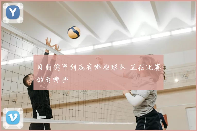 目前德甲到底有哪些球队 正在比赛的有哪些