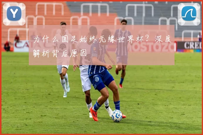 为什么国足始终无缘世界杯？深度解析背后原因