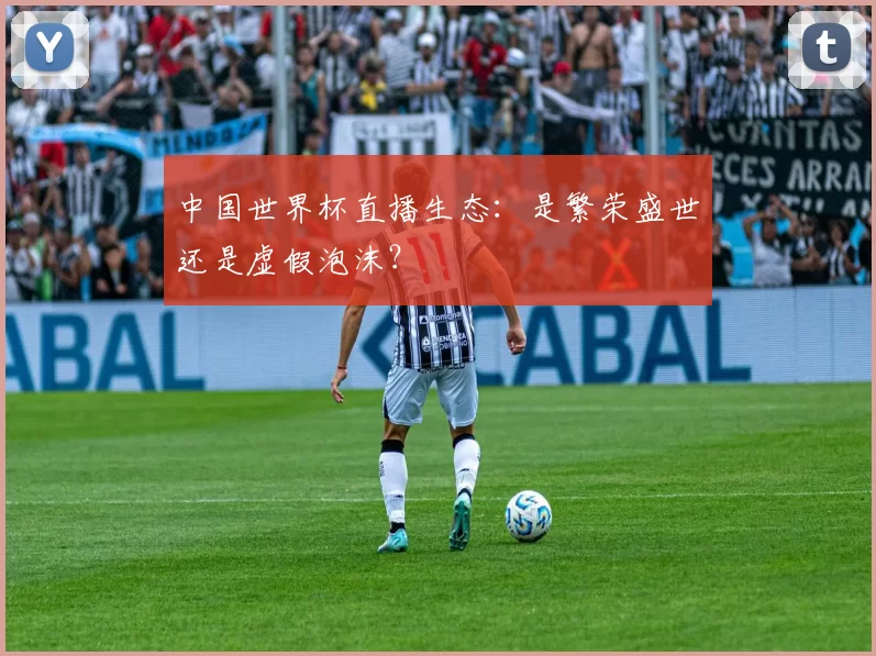 中国世界杯直播生态：是繁荣盛世还是虚假泡沫？