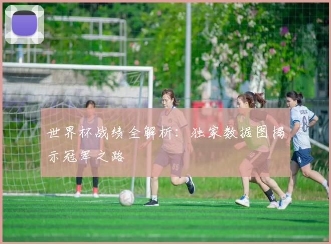 世界杯战绩全解析:独家数据图揭示冠军之路