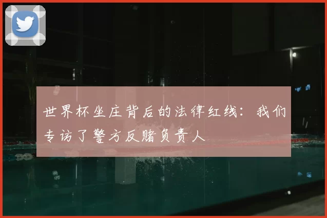 世界杯坐庄背后的法律红线:我们专访了警方反赌负责人