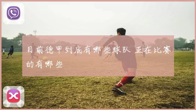 目前德甲到底有哪些球队 正在比赛的有哪些