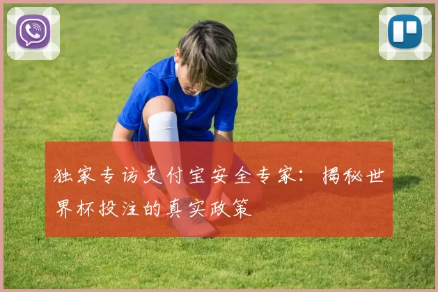 独家专访支付宝安全专家:揭秘世界杯投注的真实政策