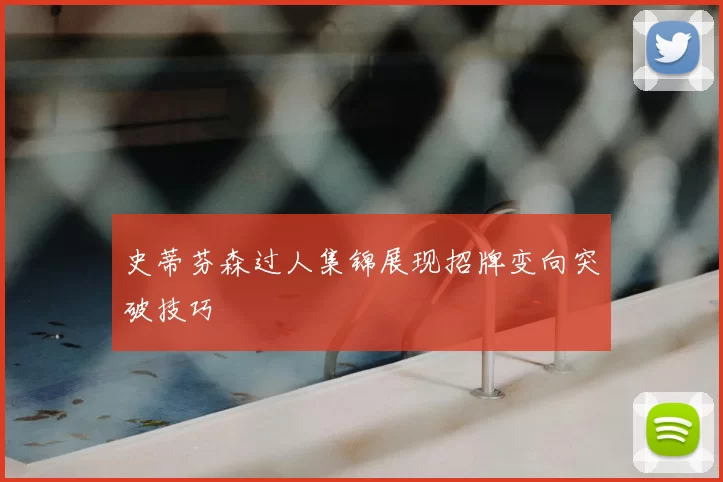 史蒂芬森过人集锦展现招牌变向突破技巧