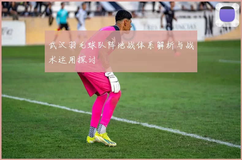 武汉羽毛球队阵地战体系解析与战术运用探讨
