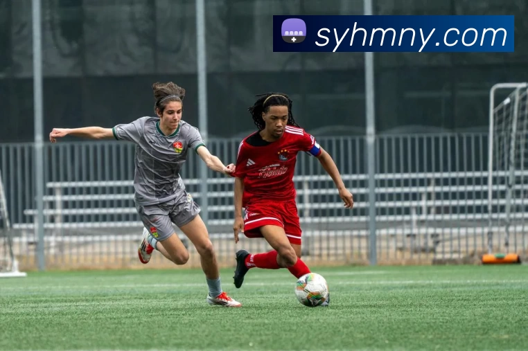 爱游戏体育APP 封面图